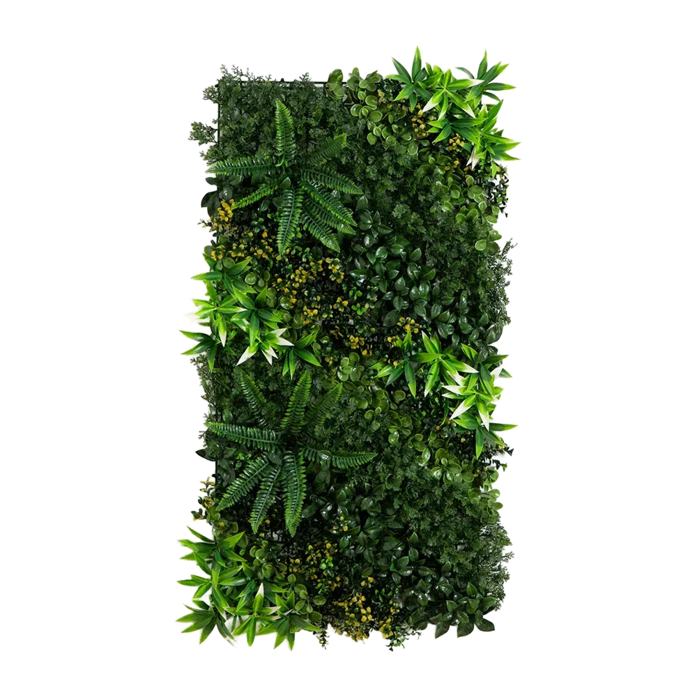 20 x 40 Orizzonte tropicale