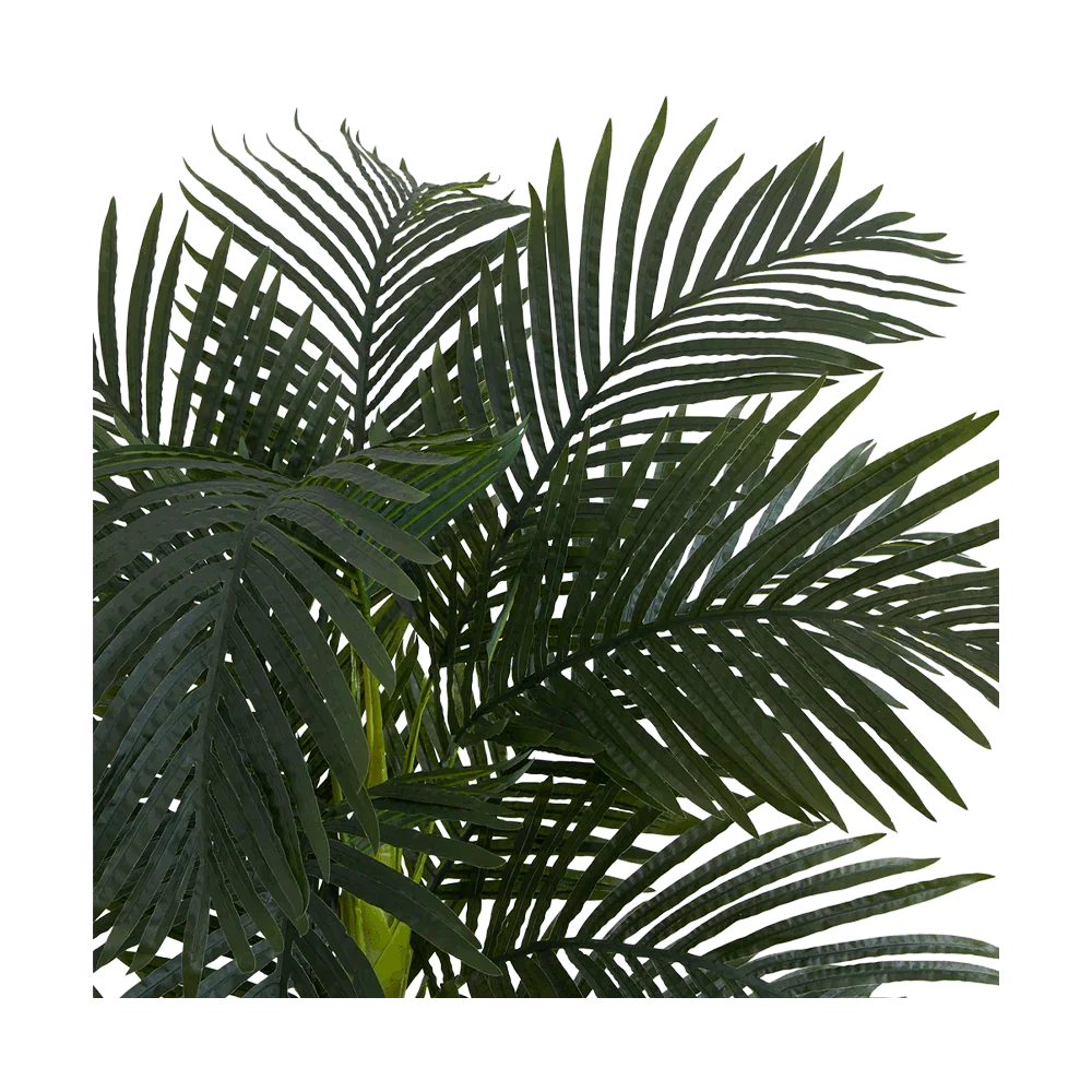Palma Suncrest da 6,5 piedi