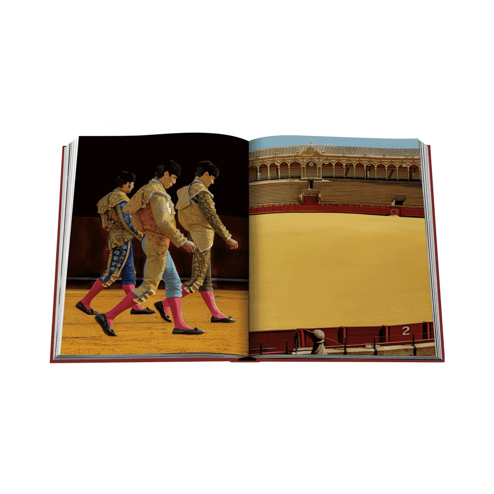 Libro Sevilla Arte