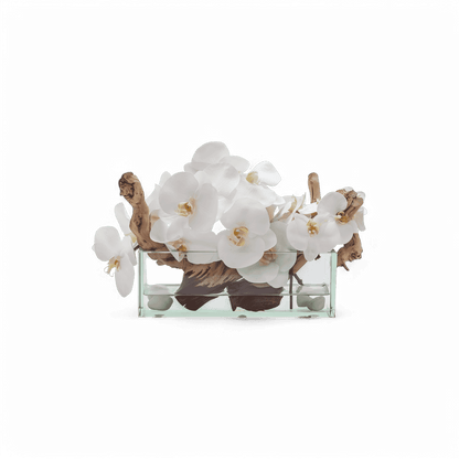 12 Orchidea Rettangolare Bianca