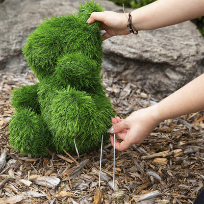 14 Orso da giardino