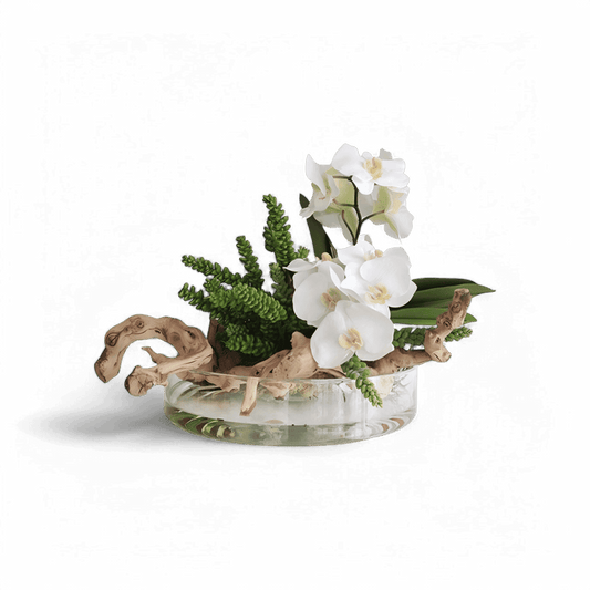 16 Heritage Vase Orchidee e Legno Bianco