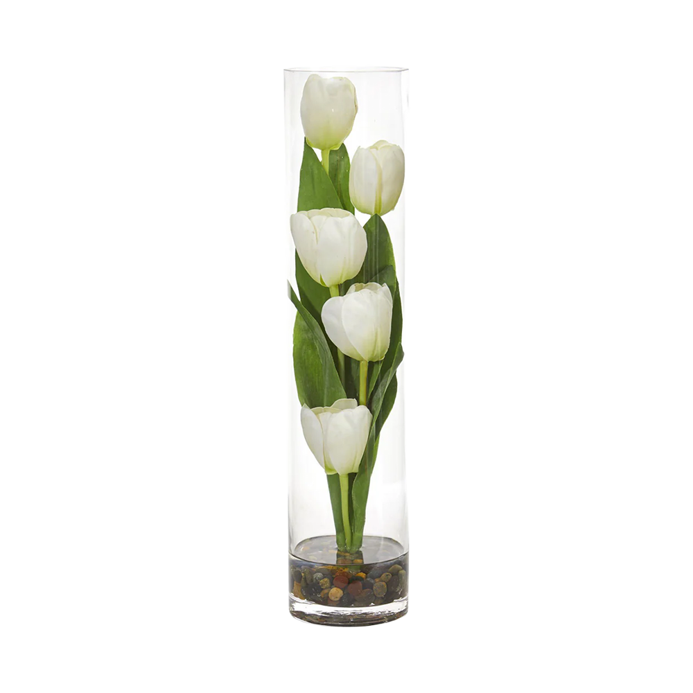 18 Tulip Sonata Bianco