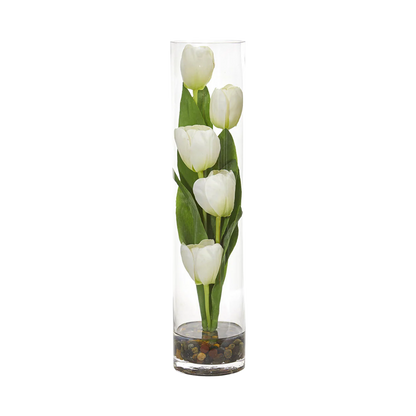 18 Tulip Sonata Bianco