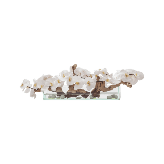 24'' Bianco Orchidea
