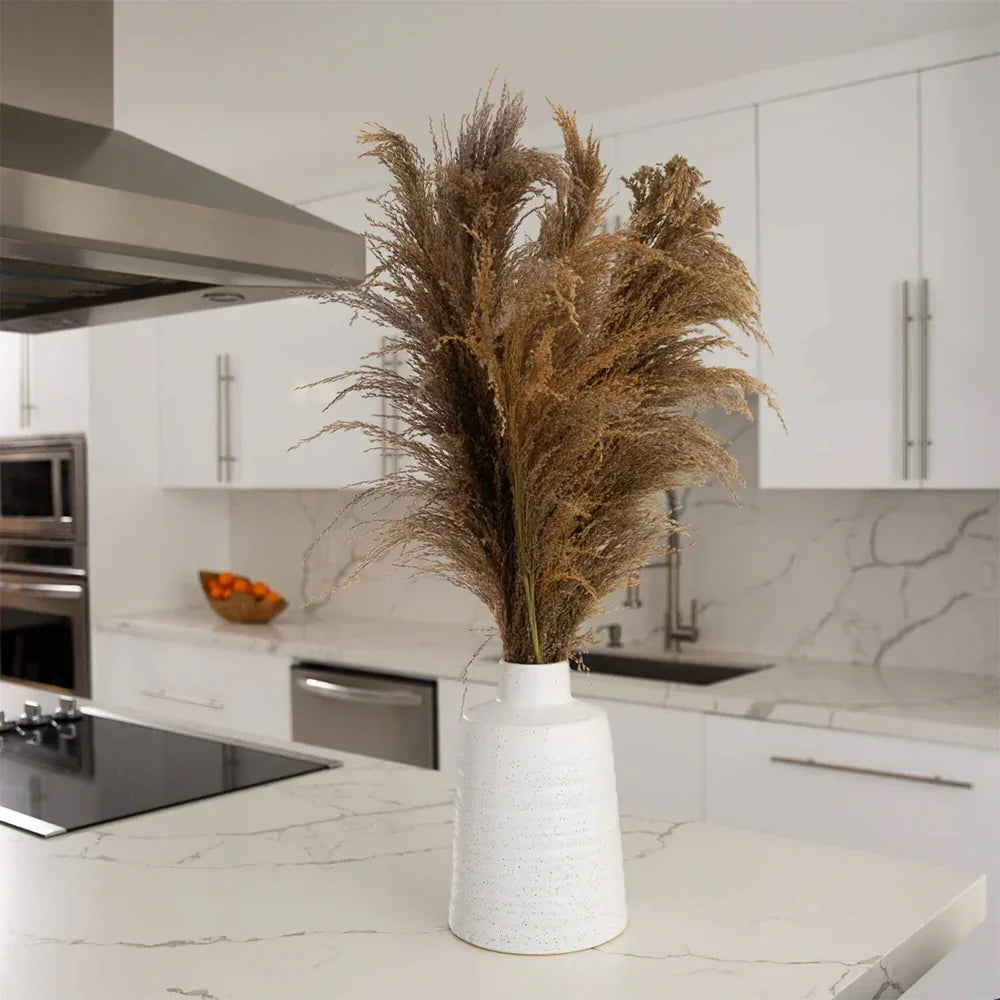 30 Desert Whisper - Pampas naturali essiccate in vaso di ceramica