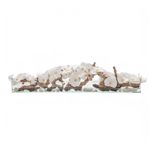 48 Bianco Orchidea