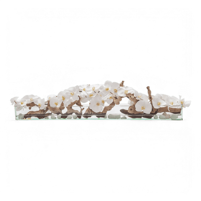 48 Bianco Orchidea