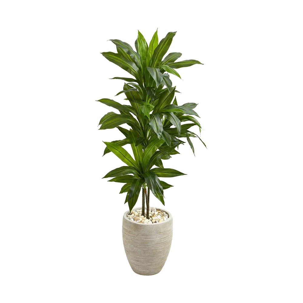 Dracena in argilla Verdana da 4 piedi con fioriera color sabbia