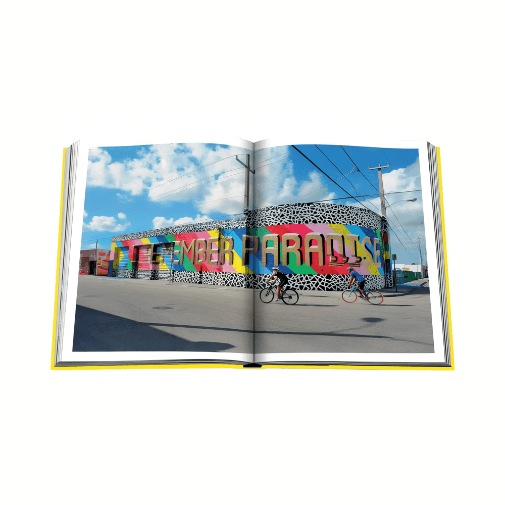 Libro di Miami Beach